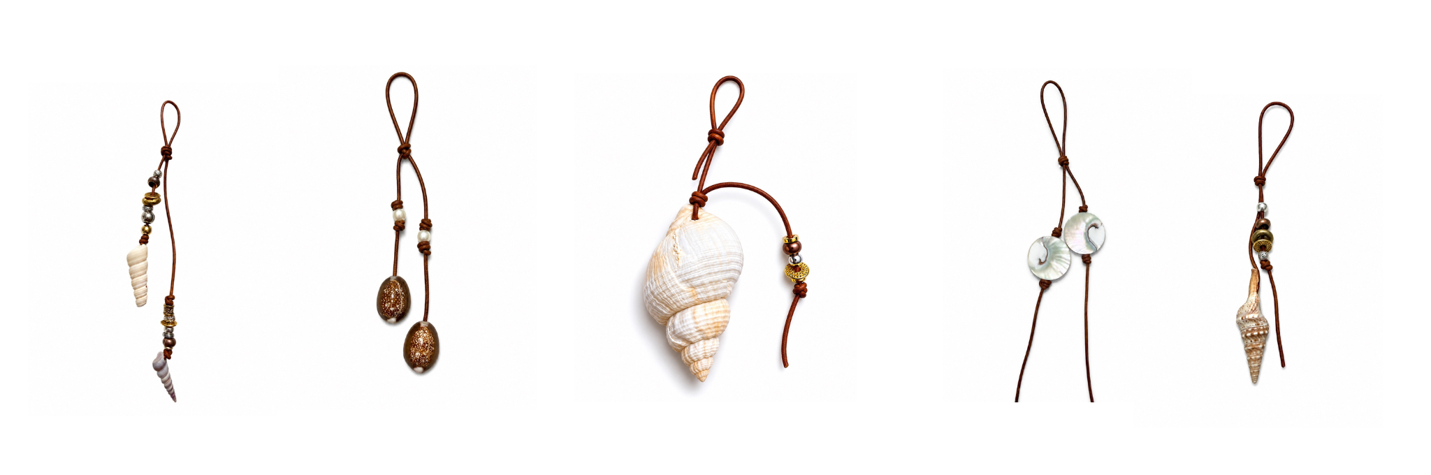 She Sells Seashells